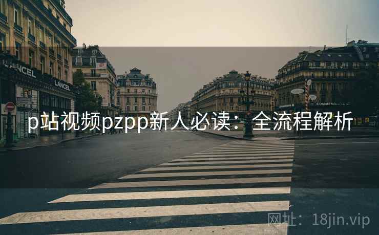 p站视频pzpp新人必读：全流程解析