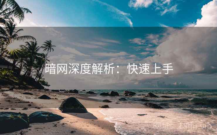 暗网深度解析:快速上手 暗网深度解析:快速上手