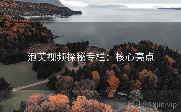 泡芙视频探秘专栏：核心亮点